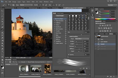 Adobe Photoshop Elements v13.1 Türkçe