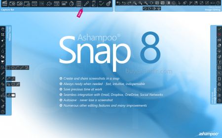 Ashampoo Snap Business v8.0.8 Portable