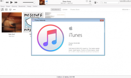 Apple iTunes v12.6.1 Türkçe