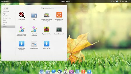 elementary OS Türkçe (x86 / x64)