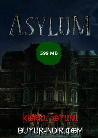 Horror in the Asylum Full